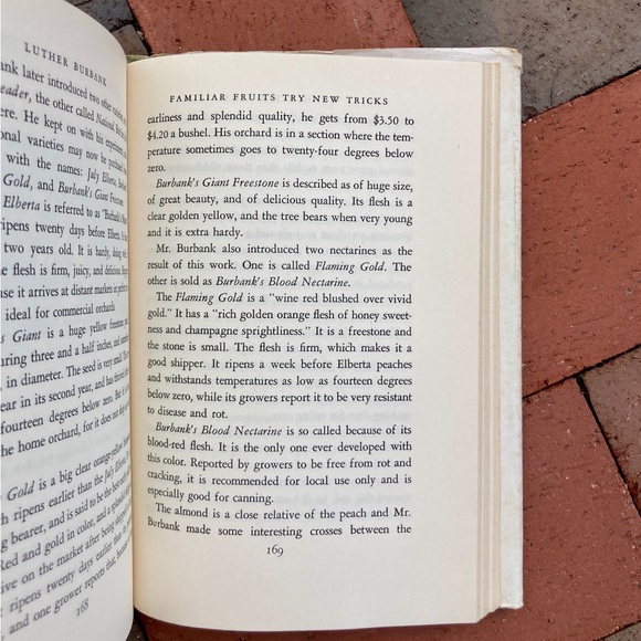 1950 Luther Burbank Plant Magician Biologist Biography Plants Plant Whisperer - Picture 8 of 17